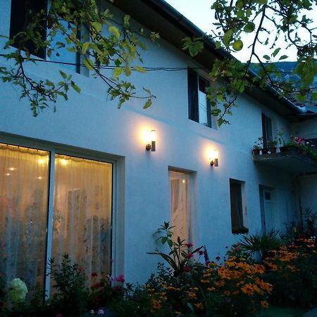 Pension Casa Anadam Băile Herculane エクステリア 写真