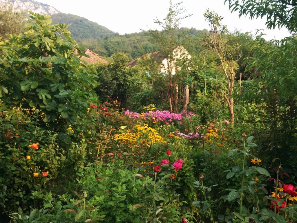 Pension Casa Anadam Băile Herculane エクステリア 写真