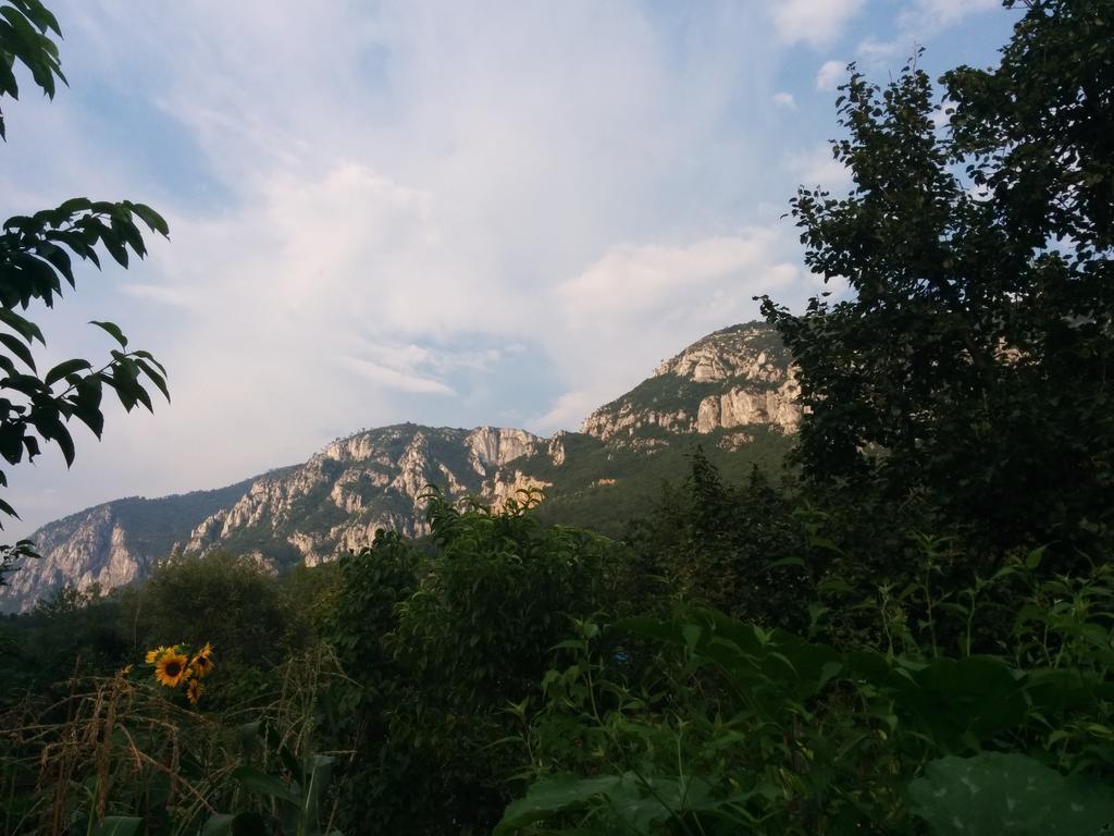 Pension Casa Anadam Băile Herculane エクステリア 写真