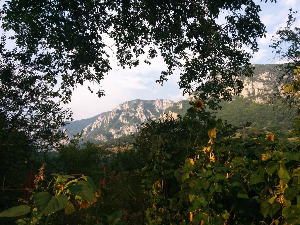 Pension Casa Anadam Băile Herculane エクステリア 写真