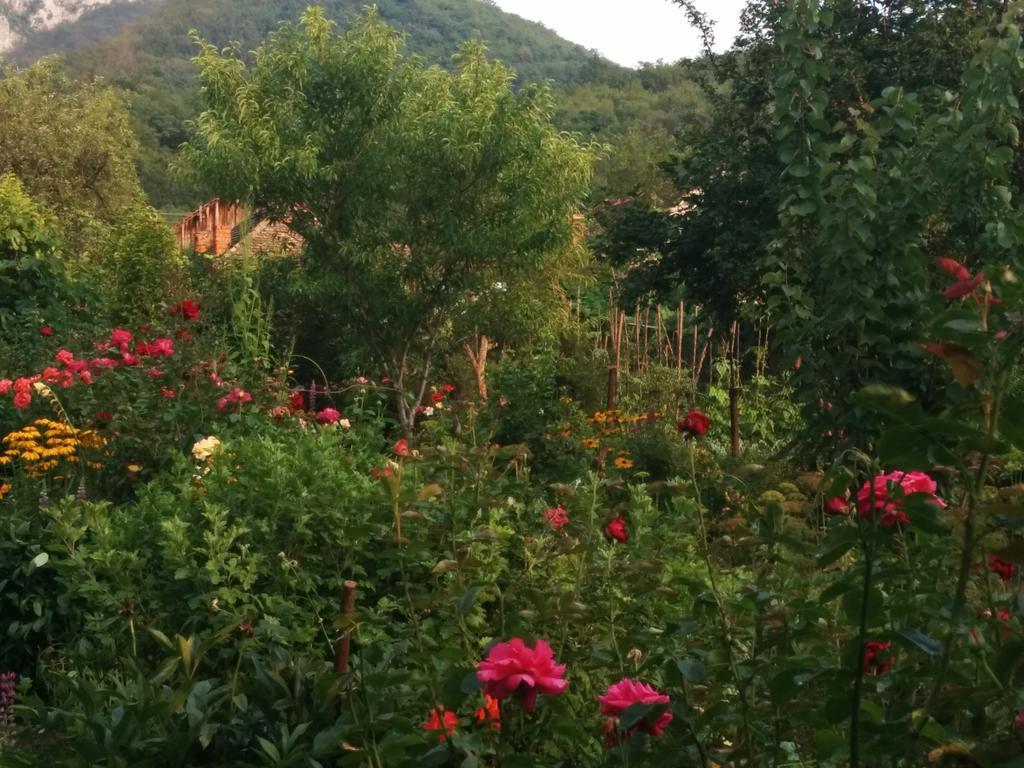 Pension Casa Anadam Băile Herculane エクステリア 写真