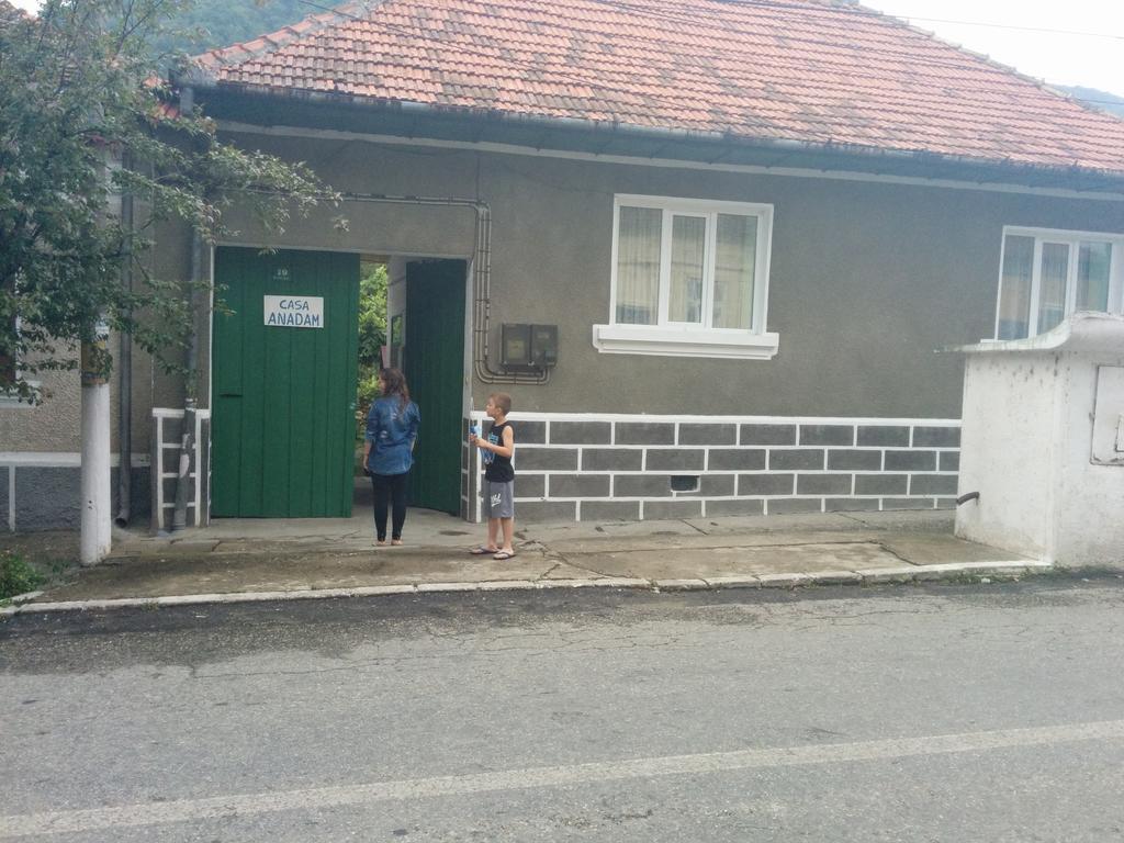 Pension Casa Anadam Băile Herculane エクステリア 写真
