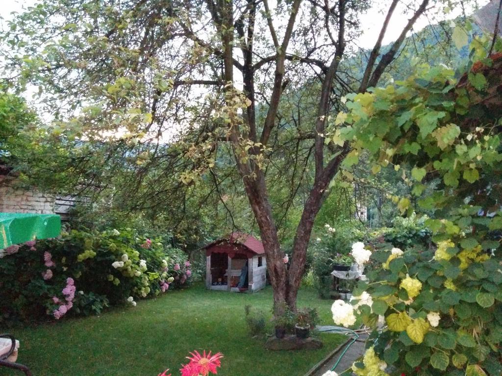 Pension Casa Anadam Băile Herculane エクステリア 写真