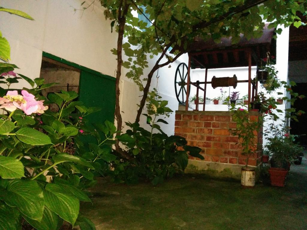 Pension Casa Anadam Băile Herculane エクステリア 写真