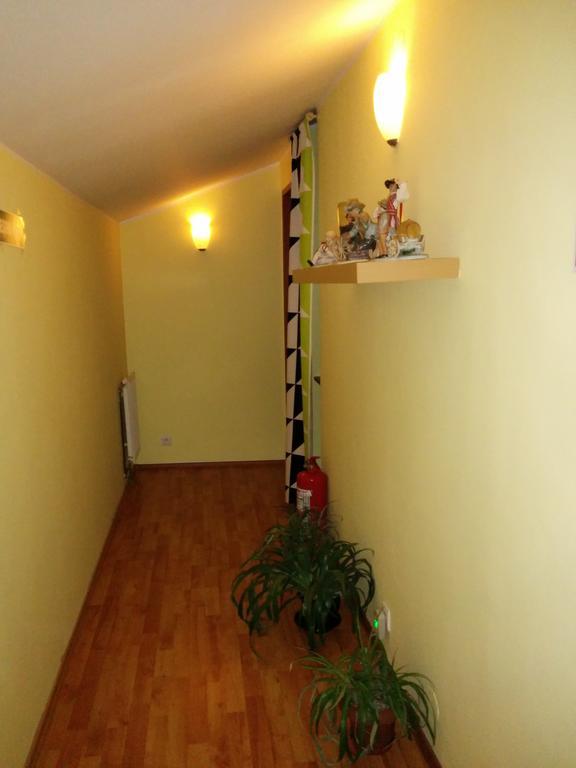 Pension Casa Anadam Băile Herculane エクステリア 写真