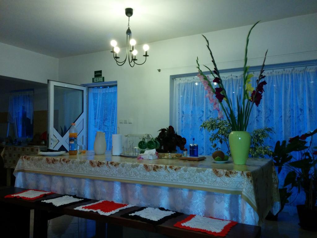 Pension Casa Anadam Băile Herculane エクステリア 写真
