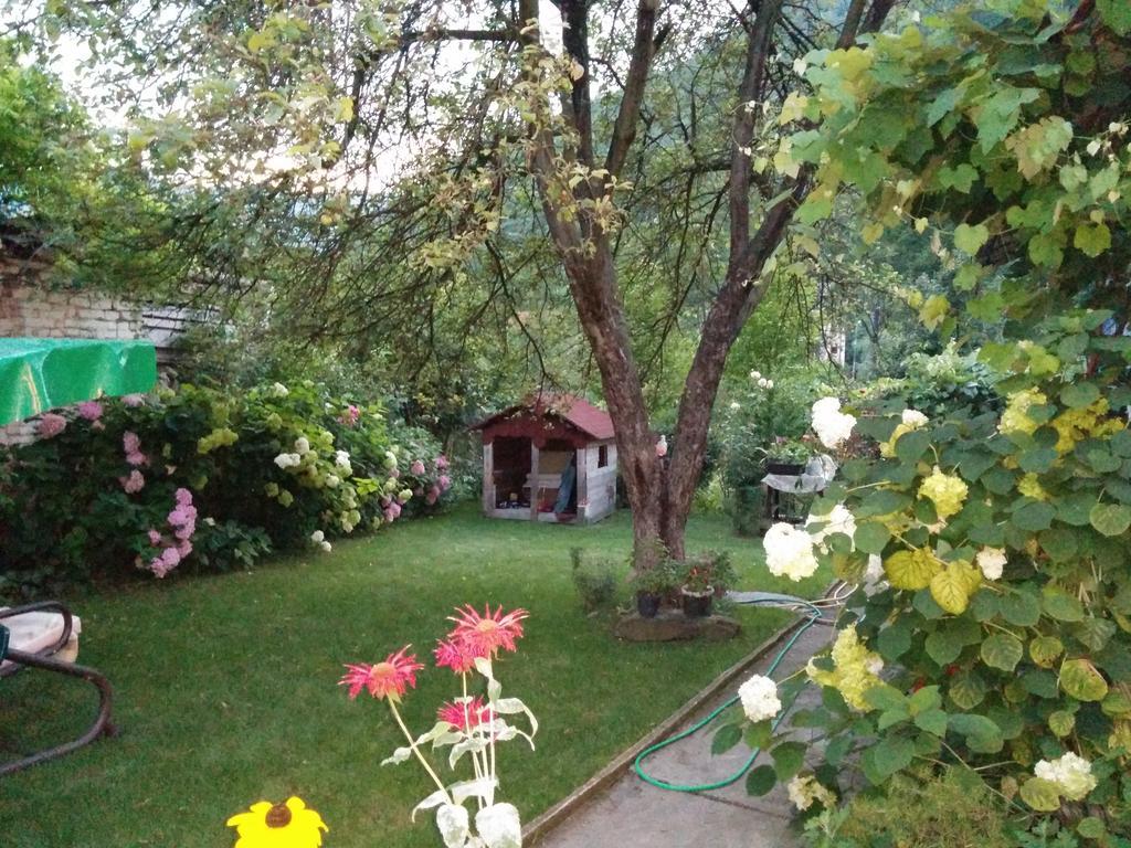 Pension Casa Anadam Băile Herculane エクステリア 写真