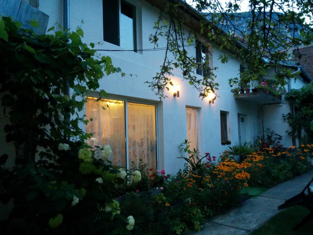 Pension Casa Anadam Băile Herculane エクステリア 写真