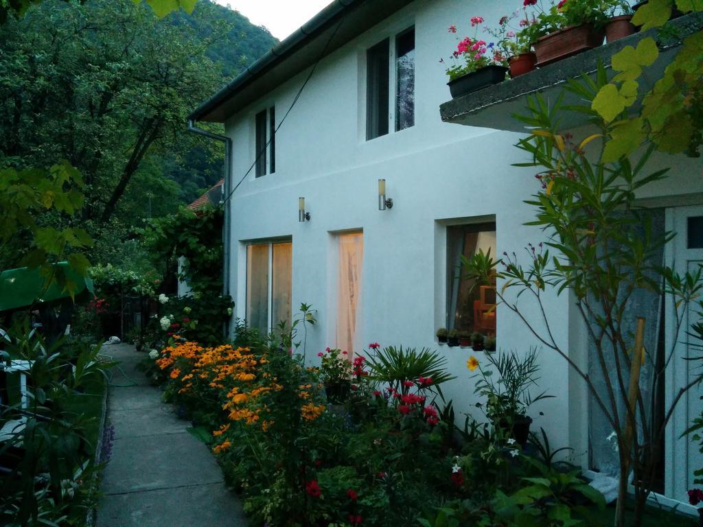 Pension Casa Anadam Băile Herculane エクステリア 写真