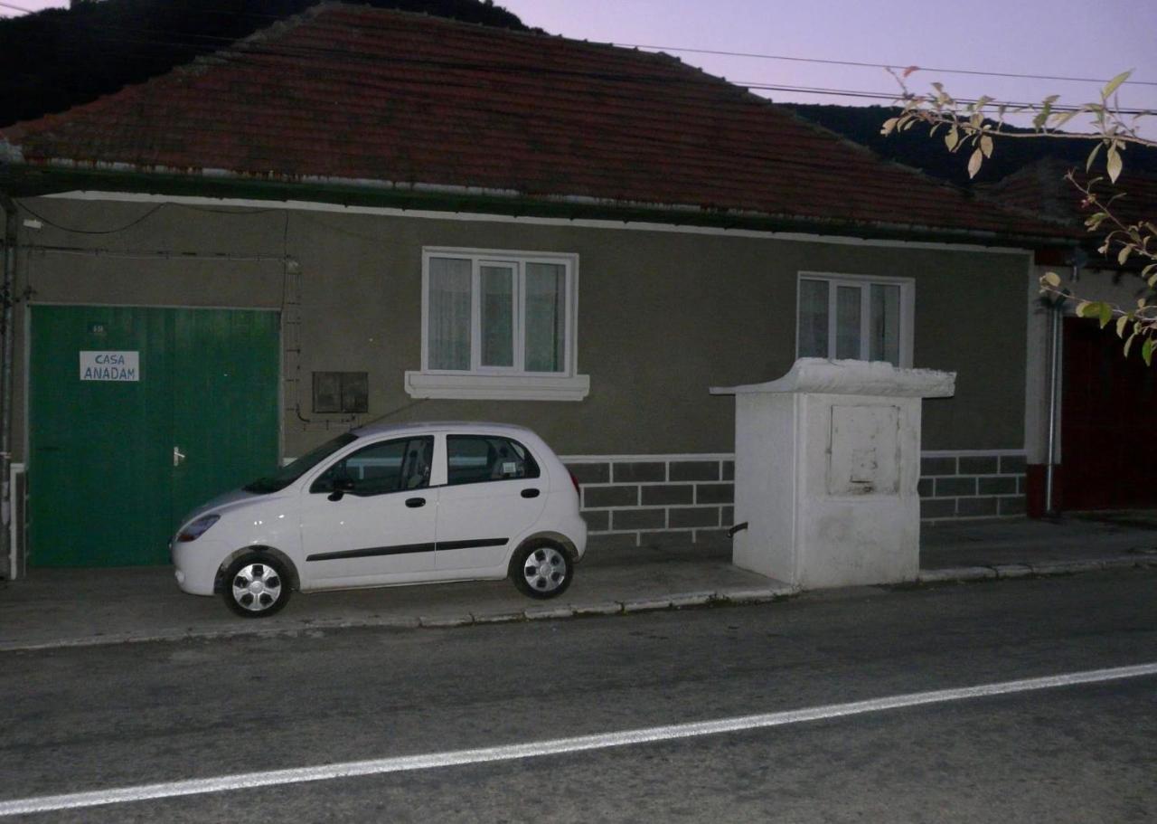 Pension Casa Anadam Băile Herculane エクステリア 写真