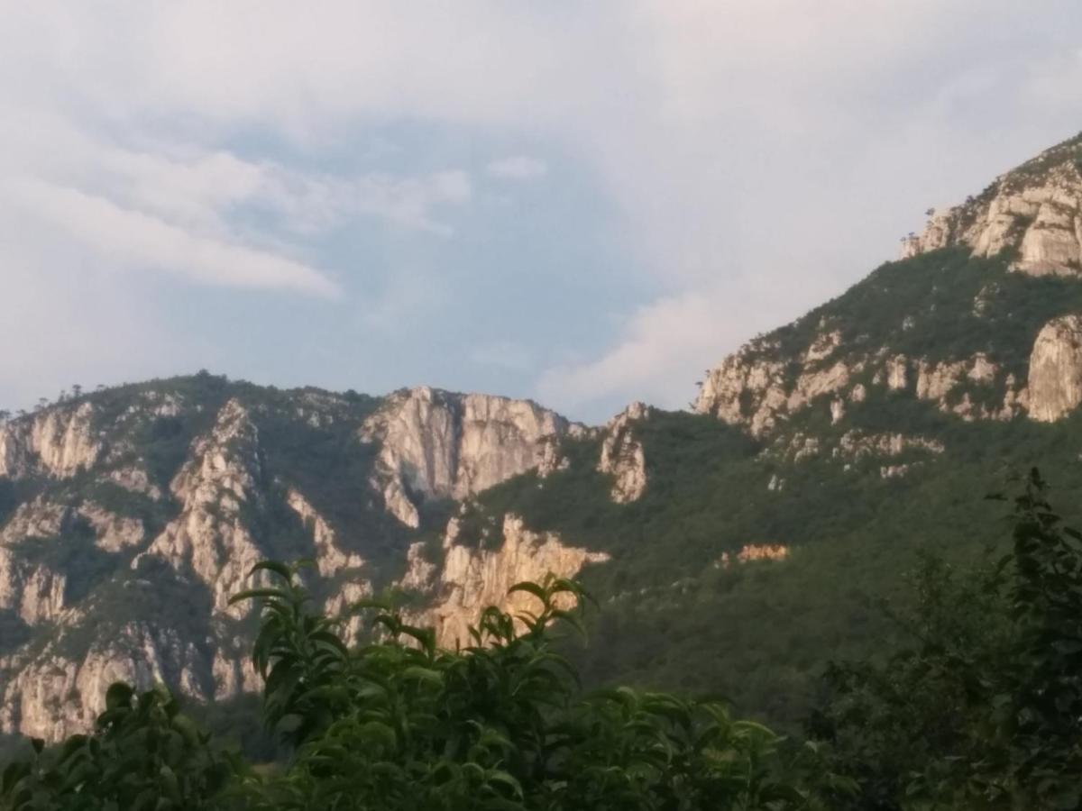Pension Casa Anadam Băile Herculane エクステリア 写真
